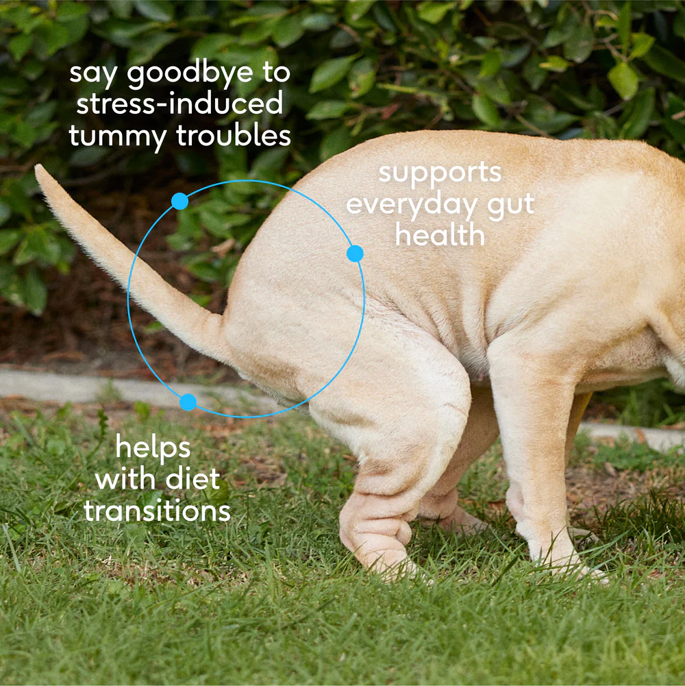 NativePet Probiotic